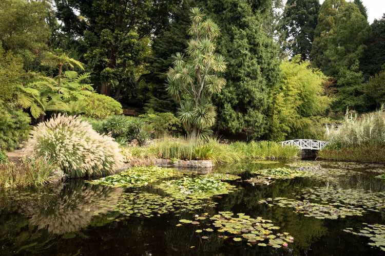 Composition Checklist for Beginners - green garden image
